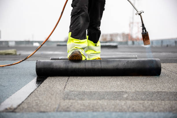 Best Storm Damage Roof Repair  in Warrior, AL