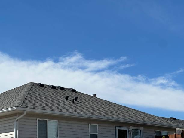 Best Cold Roofs  in Warrior, AL